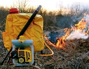 ��� ��������������