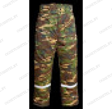 ����� ���������� ��� (���� ���������)